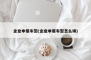 企业申报车型(企业申报车型怎么填)
