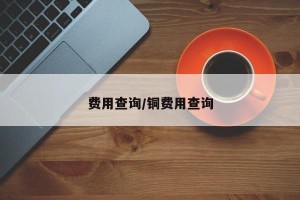 费用查询/铜费用查询